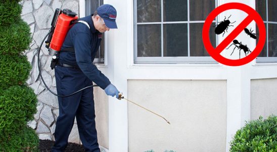Simav Hamam Böceği İlaçlama böcek ilaçlama ve haşere kontrolü — ilaclama-tr.com